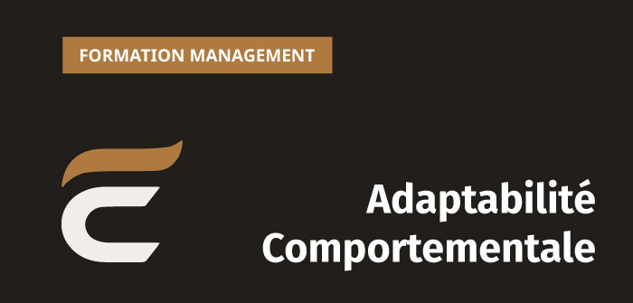 Formation management "Adaptabilité Comportementale"